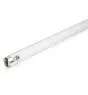 Philips T8 UV - C 75W - Ultraviolett | 120cm